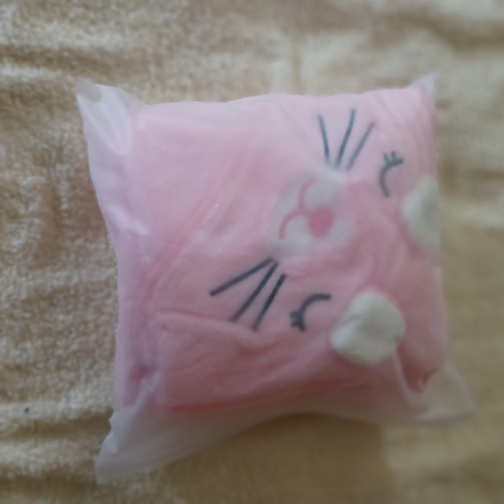 SHEIN Pink Cat Face Pillow